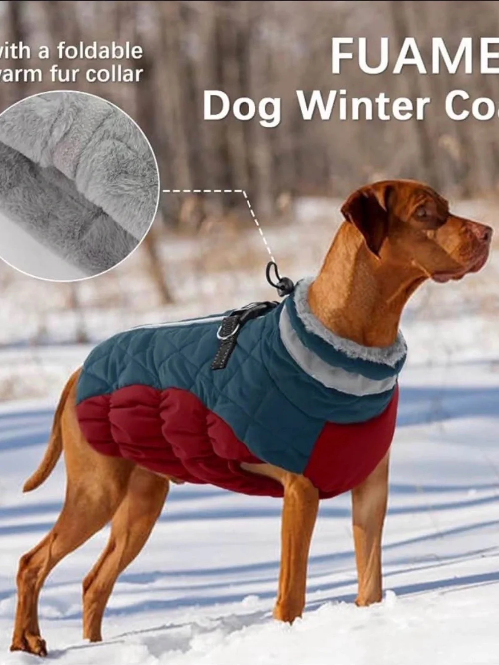 Dog Quilted Winter Coat - Blue and Red
